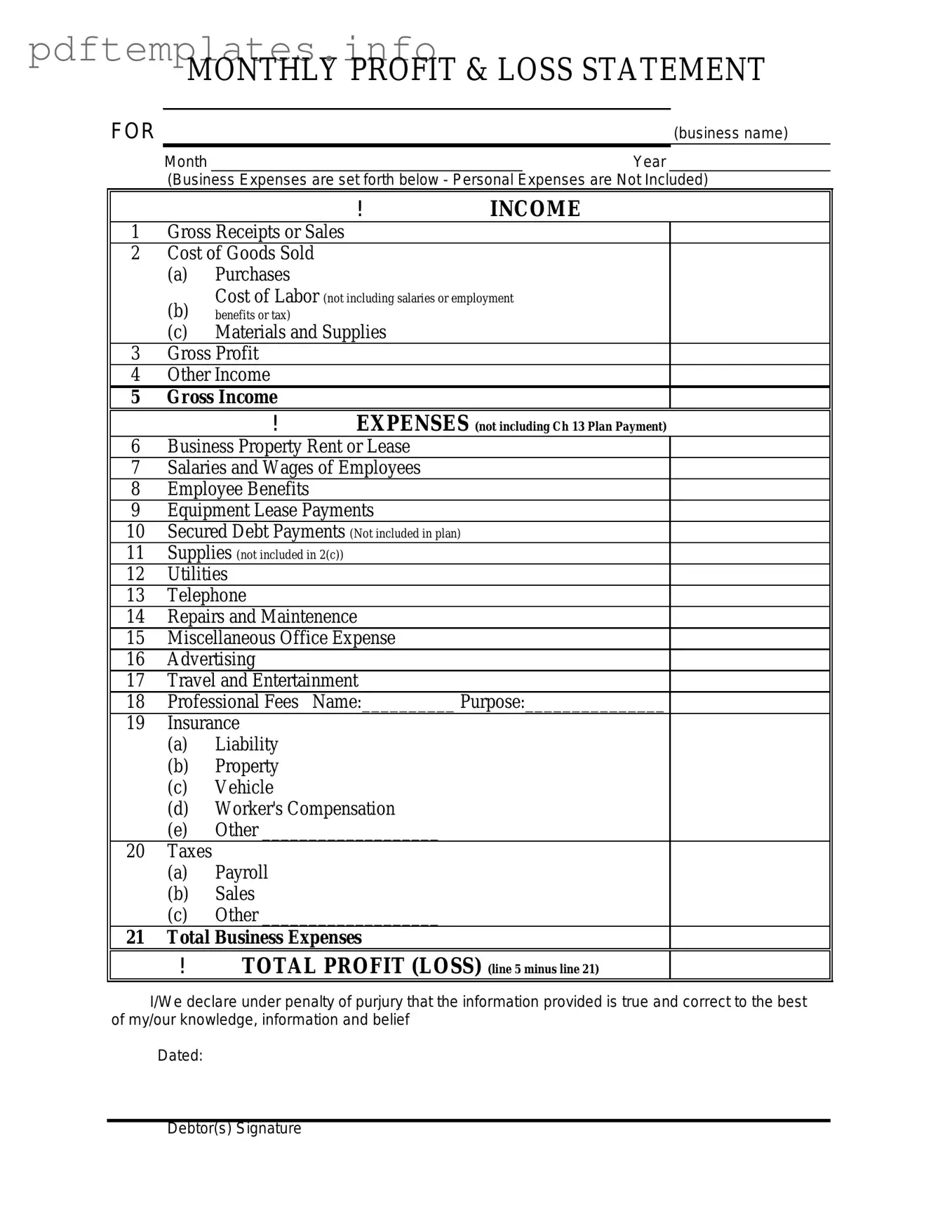 Fill Out a Valid Profit And Loss Form