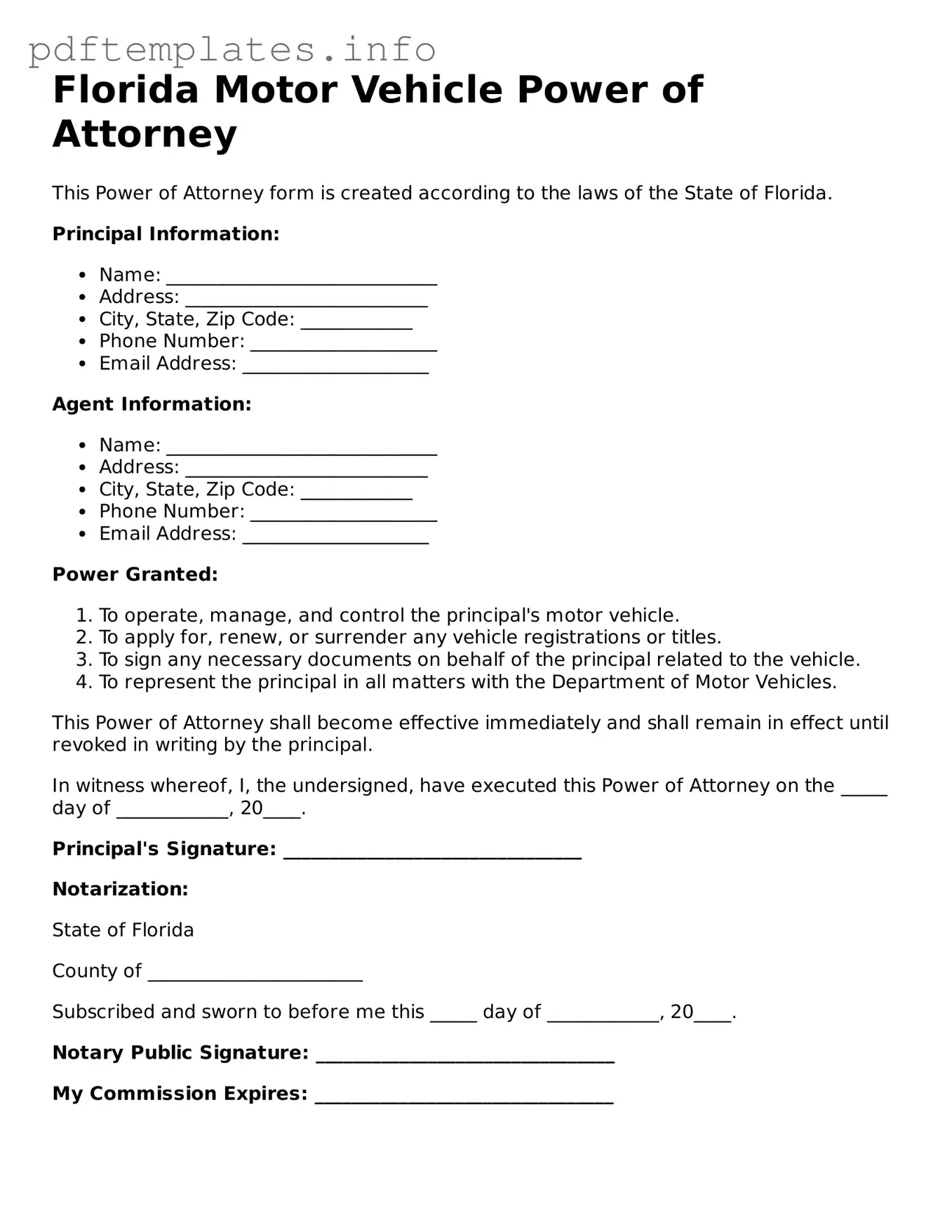 Blank Motor Vehicle Power of Attorney Form for Florida State