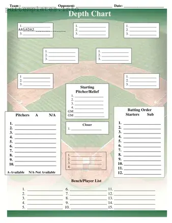Fill Out a Valid Baseball Field Lineup Form