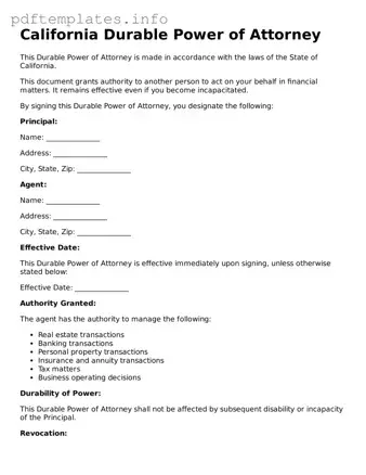 Blank Durable Power of Attorney Form for California State