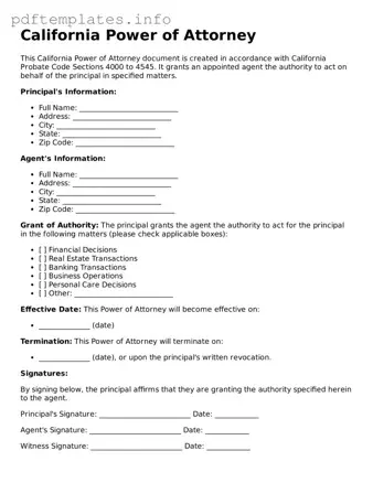 Blank Power of Attorney Form for California State