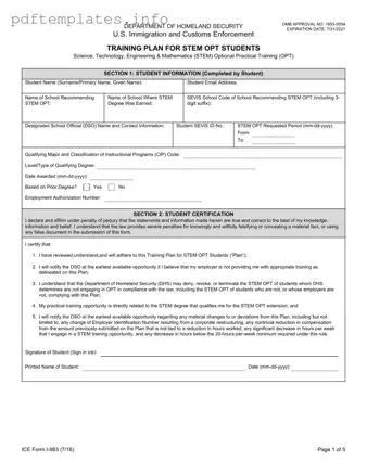 Fill Out a Valid ICE I-983 Form