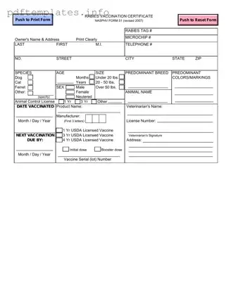 Fill Out a Valid Rabies Certificate Form