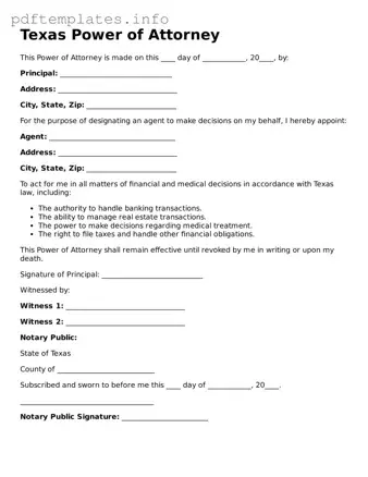 Blank Power of Attorney Form for Texas State