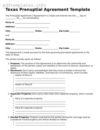 Blank Prenuptial Agreement Form for Texas State