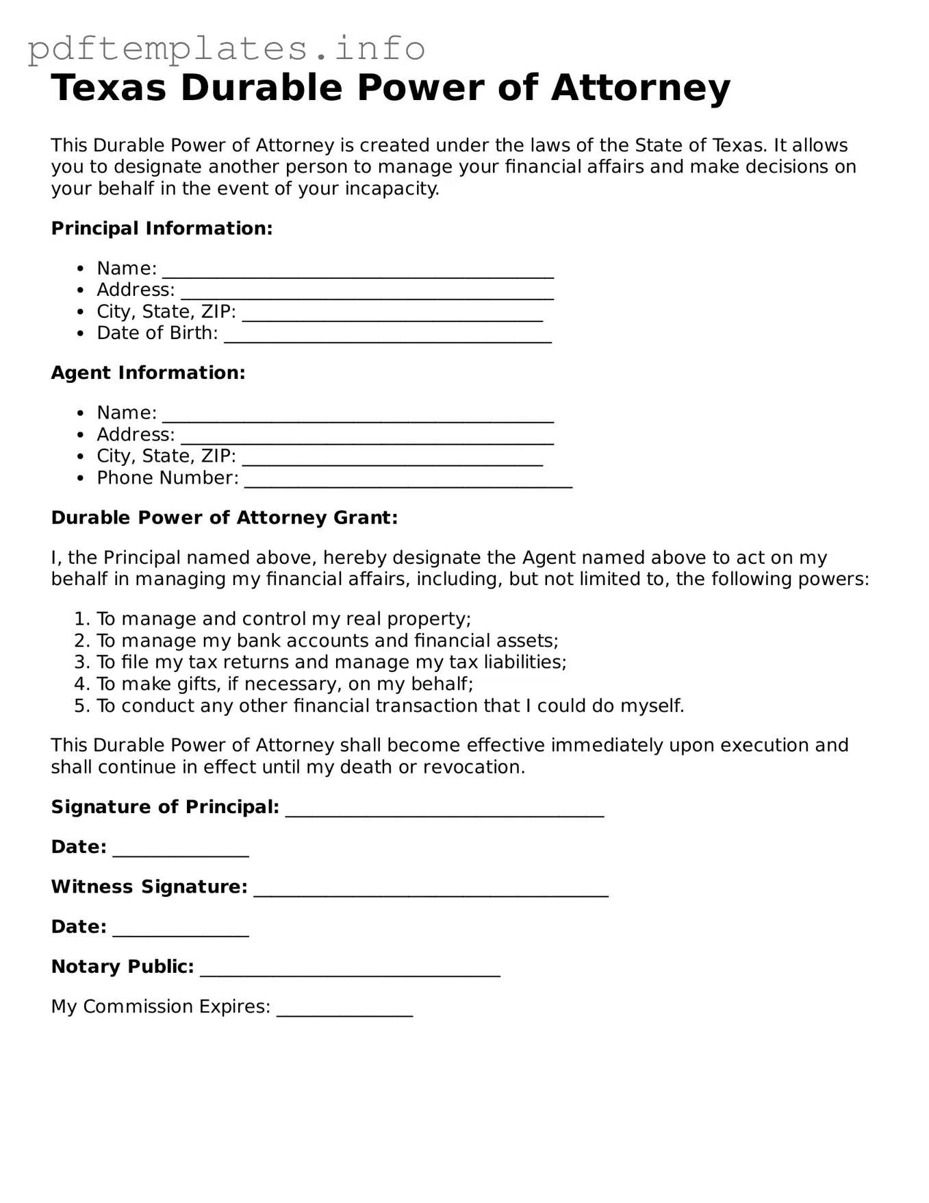 Blank Durable Power of Attorney Form for Texas State